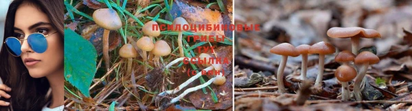 прущие крисы Навашино