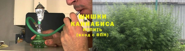 шишки Верхний Тагил