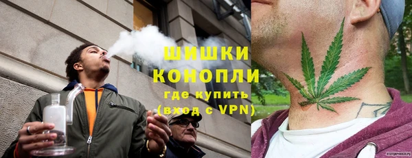 стаф Тобольск