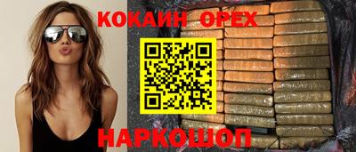 гидра Кандалакша