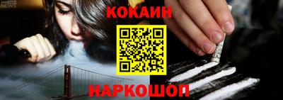 молекула духа Камышлов