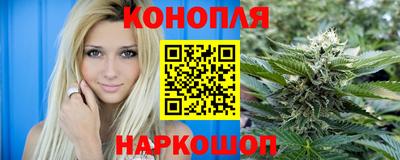 молекула духа Камышлов