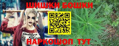 молекула духа Камышлов