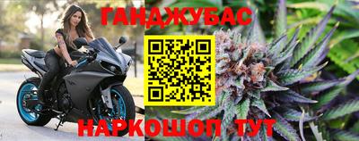 молекула духа Камышлов