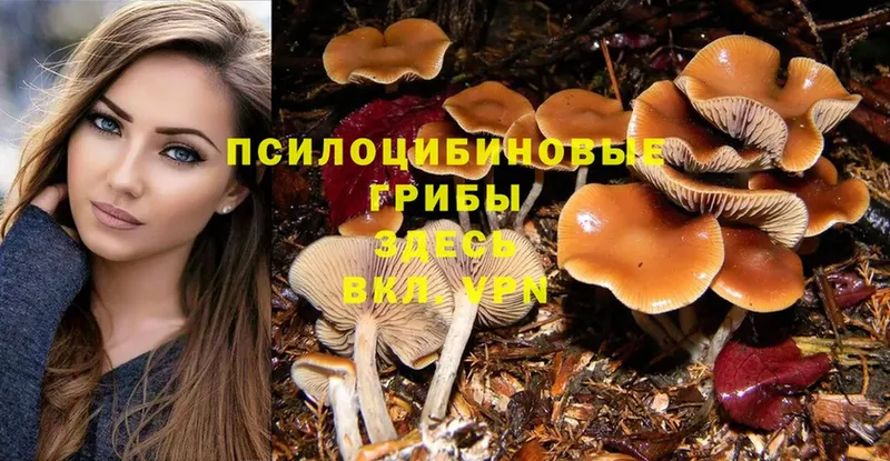 Галлюциногенные грибы MAGIC MUSHROOMS  что такое наркотик  omg зеркало  Фролово 